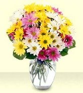 Görsel ve farklı bir çiçek isteyenler için Cam içinde karışık mevsim çiçekleri Ankara çiçek gönder firması şahane ürünümüz