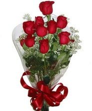 Ankara Ayaş çiçek satışı firma ürünümüz taze kan kırmızısı gonca gül buketi